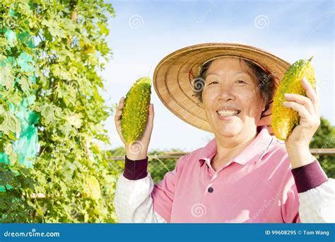 Woman Farmer Working in Vegetable Farm Stock Image - Image of laughing, crop: 99608295