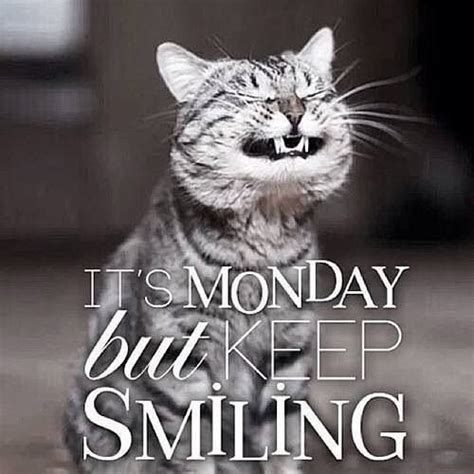 Happy Monday! 😁 | Morning quotes funny, Good morning funny, Happy monday quotes