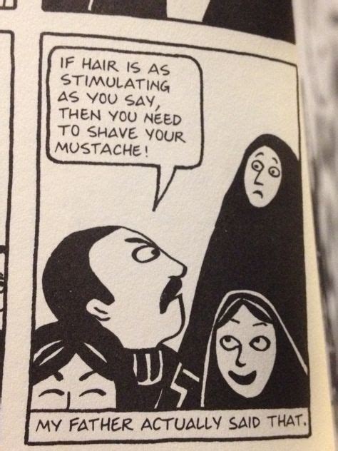 Persepolis graphic novel - plmcitizen