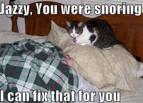 Best Snoring Memes of 2022