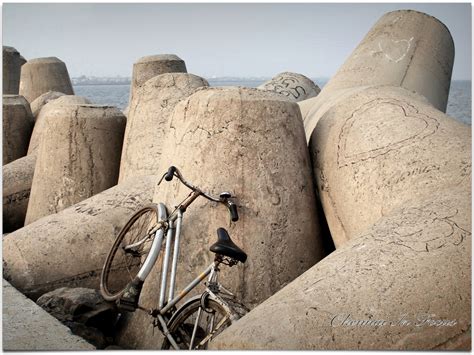 Royapuram Beach | Royapuram Beach | City Life