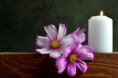 A Simple Funeral Service Script with Candle Lighting and Reading | AMM Blog