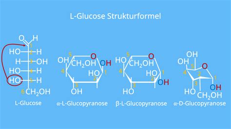 L Glucopyranose