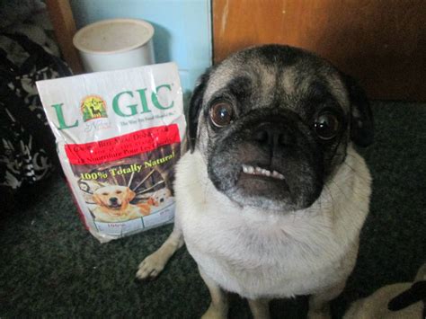 Nature's Logic All Natural Dog Food Review | Emily Reviews