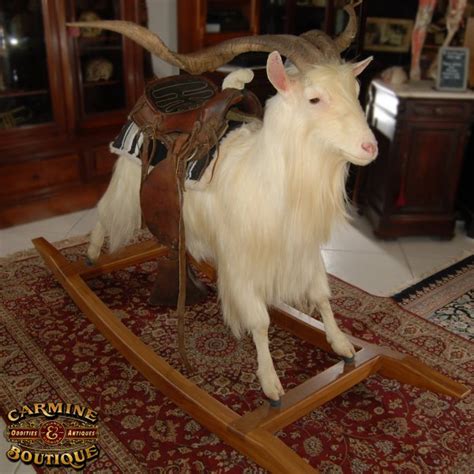 Rocking Taxidermy Goat - Creepbay