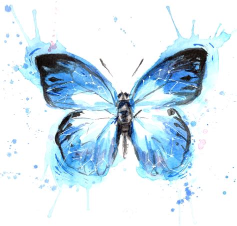 blue morpho butterfly watercolor Watercolor Butterfly Tattoo, Black ...