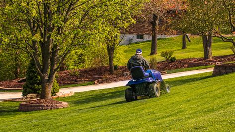 Everything To Know About Planting Grass On A Slope