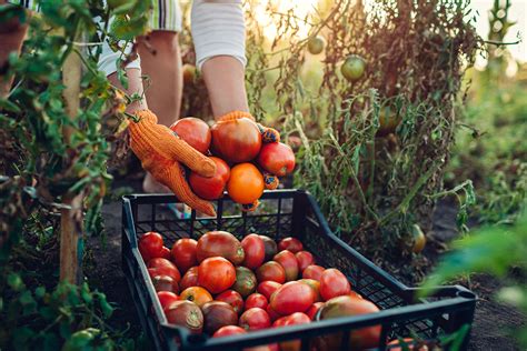 Sign up for These Hudson Valley CSAs for Farm-Fresh Produce