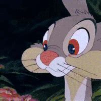 Bunny Kisses GIFs - Find & Share on GIPHY