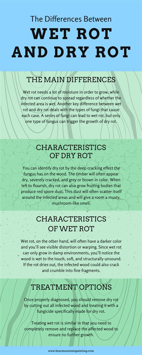 THE DIFFERENCES BETWEEN WET ROT AND DRY ROT - Bear Mountain Custom Painting