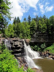 Hiking Trails near Blackwater Falls State Park