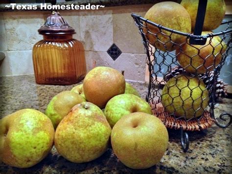 Pear Relish Recipe - Sweet & Savory | ~ Texas Homesteader