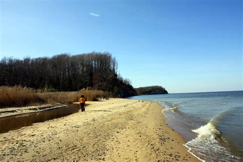 Jason's Photos: Calvert Cliffs State Park