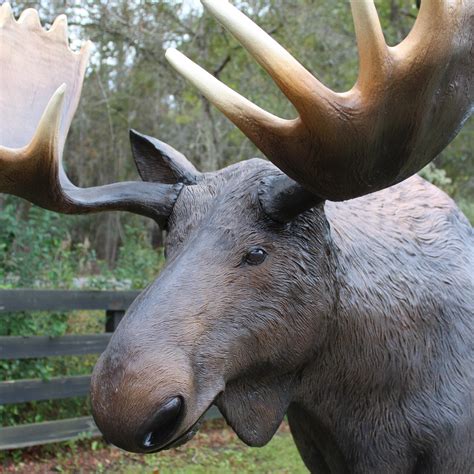 Life Size Moose Statue with Large Antler Rack Shop Display Garden ...