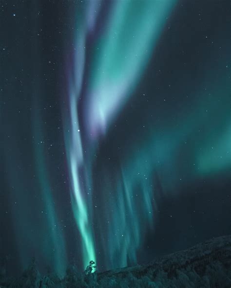 41+ Zoom virtual background video northern lights ideas