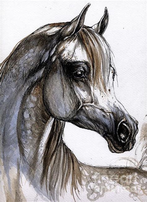 "Arabian Horse" by Angel Tarantella #art #horse #watercolor #painting | Horse painting ...