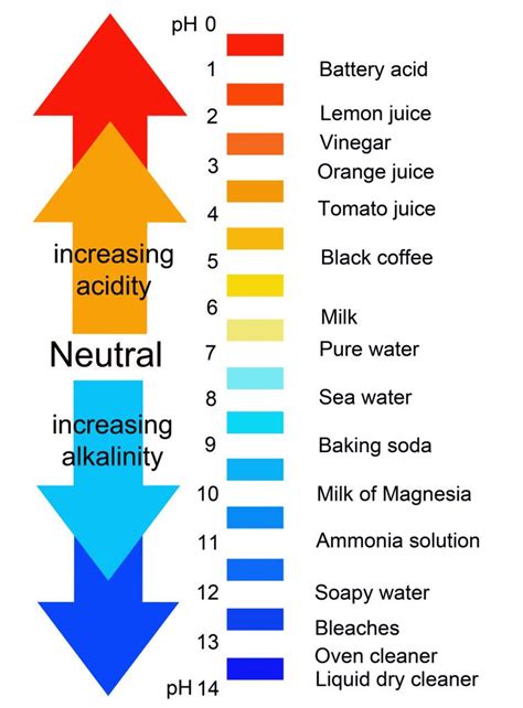 Explain The Ph Scale Acids And Bases