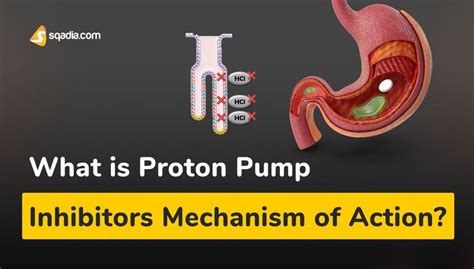 What is Proton Pump Inhibitors Mechanism of Action?