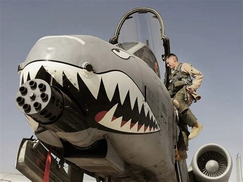 The Best 18 Shark Teeth Nose Art Ww2 - factweathertoon