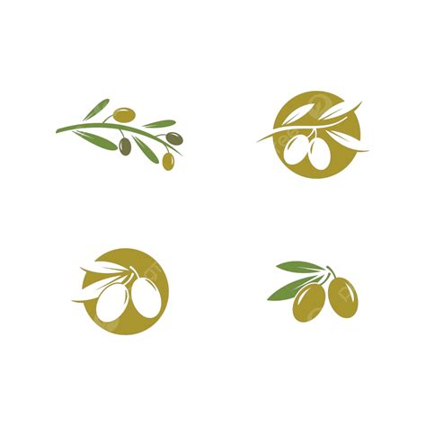 Olive Logo Background Green Logo Vector, Background, Green, Logo PNG and Vector with Transparent ...