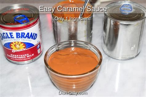 Easy One Ingredient Caramel Sauce Recipe - Dish Ditty