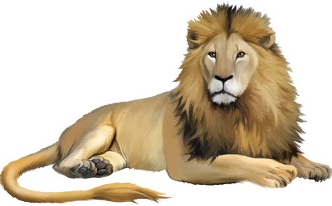 Lion Cartoon - lion png download - 2586*1605 - Free Transparent Lion png Download. - Clip Art ...