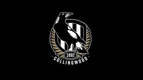 2020 AFL preview: Collingwood Magpies team guide | Finder