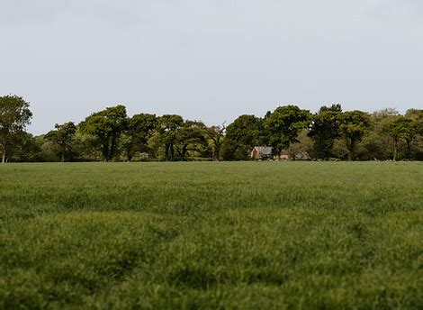 Local Food | Martell, NE | Robinette Farms