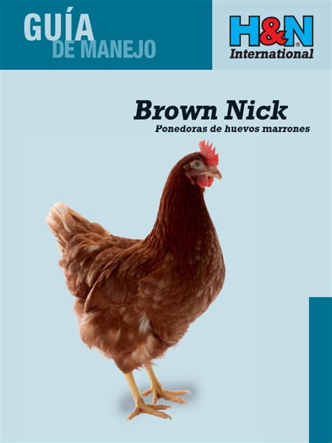 Brown Nick Guia | PDF | Birds | Foods