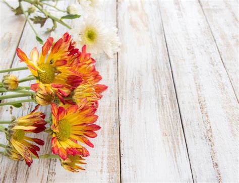 Flowers On White Wood Table Stock Image - Image of flower, space: 66887139