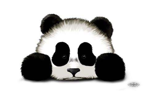 Baby Panda Drawings - ClipArt Best