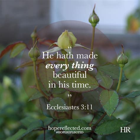 ecclesiastes 11 kjv - ElizeArzoe