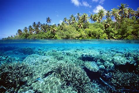 Ecosystem Spotlight: Micronesia | Conservation Strategy Fund