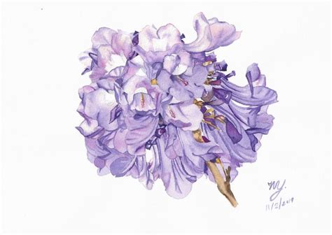 Watercolor painting of Jacaranda flower Painting by wilasinee yoschote | Saatchi Art