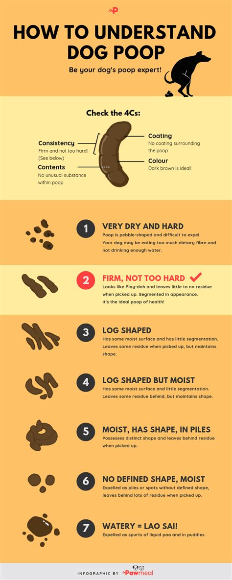 dog poop chart printable pdf download - how to understand dog poop with ...