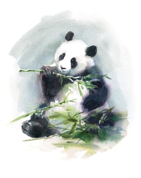 Panda Eating Bamboo Watercolor Animal Illustration Hand Painted. Hand painted Wa , #SPONSORED, # ...