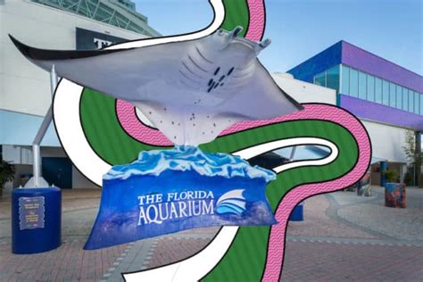 Florida Aquarium welcomes guests again this week | blooloop