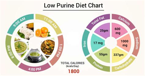 Low purine diet sample menu – Diet Blog