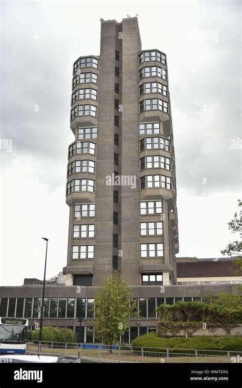 Plants and landscaping around Aylesbury town centre Stock Photo - Alamy