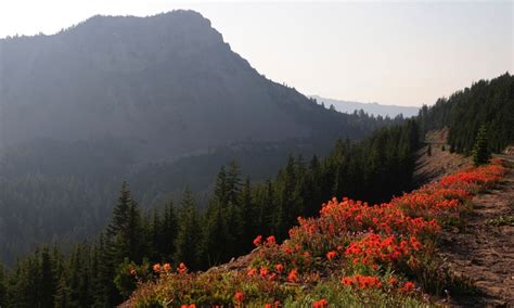 Crater Lake Hiking Trails - AllTrips