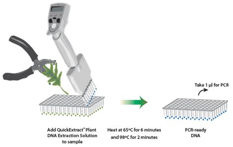 QuickExtract Plant DNA Extraction Solution | LGC, Biosearch Technologies