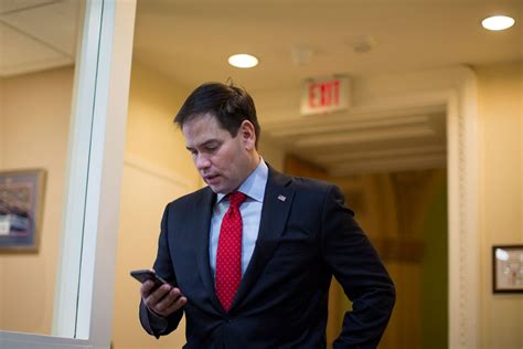 Marco Rubio Discovers the Joy of Late-Night Tweetstorms | Vanity Fair