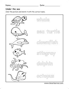 Animals that live in water worksheets for preschools