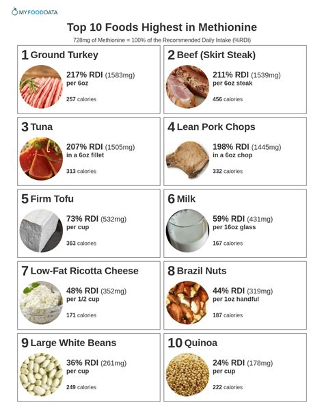 Top 10 Foods Highest in Methionine