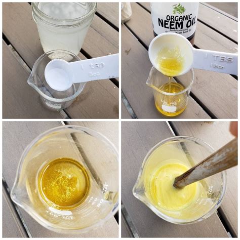 How to Properly Emulsify Neem Oil & Make a Safe Garden Pest Spray ...