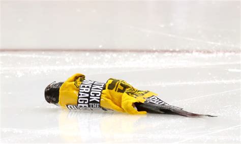 Why do Nashville Predators fans throw catfish at games?