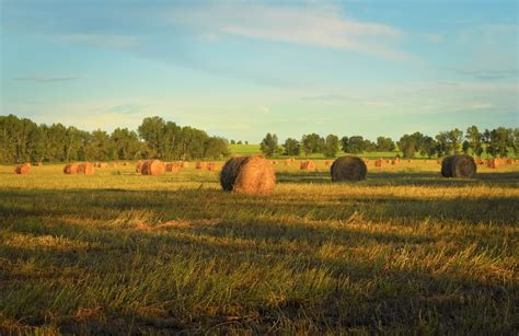 Cleaning Fields. Straw Bales. Free Stock Photo - Public Domain Pictures