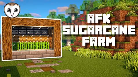 Sugarcane Farm