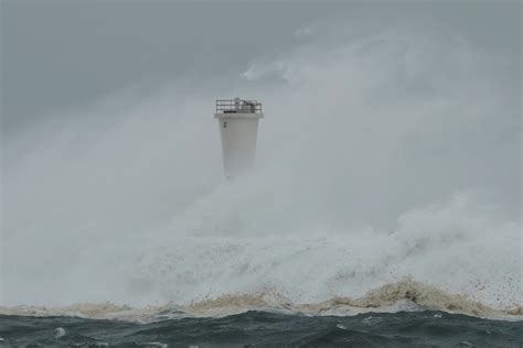 Heavy rain and strong winds lash Tokyo as powerful typhoon hits Japan