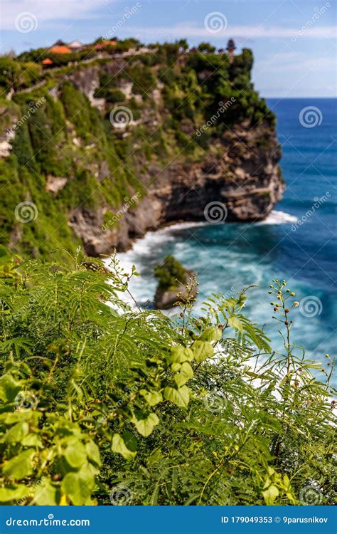 Plants on the Ocean Rocky Shore Stock Image - Image of breathtaking ...